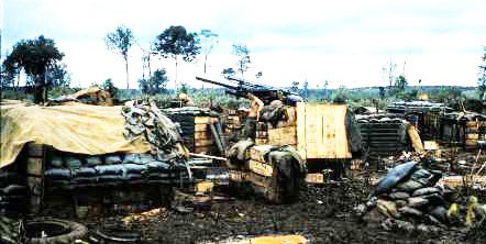 Vietnam Artillery at LZ Don